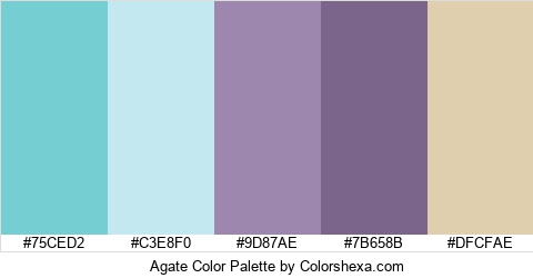Agate Color Colors Logo