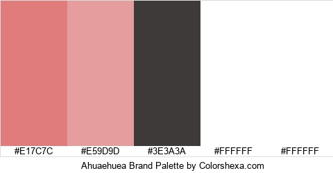 Ahuaehuea Brand Colors Logo