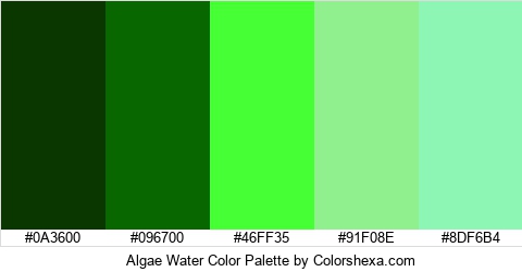 Algae Water Color Colors Logo