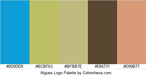 Algues Logo Colors Logo
