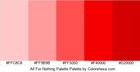 All For Nothing Palette Colors Logo