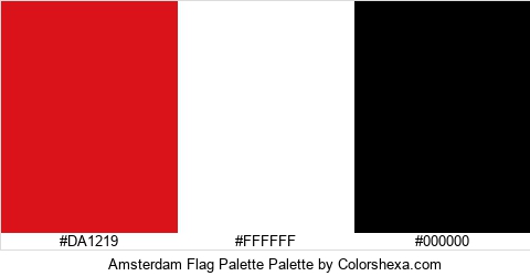 Amsterdam Flag Palette Colors Logo