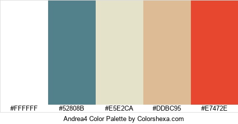 Andrea4 Color Colors Logo