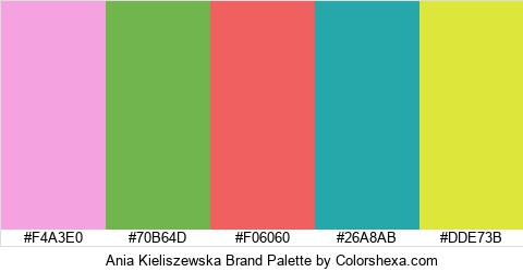 Ania Kieliszewska Brand Colors Logo