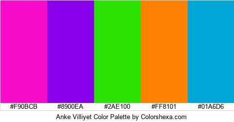Anke Villiyet Color Colors Logo