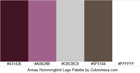 Annas Hummingbird Logo Colors Logo