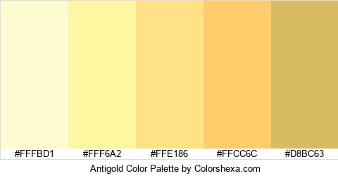Antigold Color Colors Logo