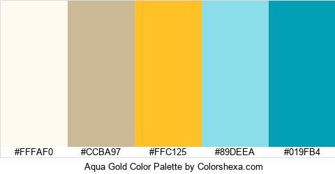 Aqua Gold Color Colors Logo