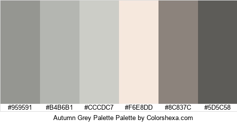 Autumn Grey Palette Colors Logo