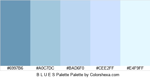 B L U E S Palette Colors Logo