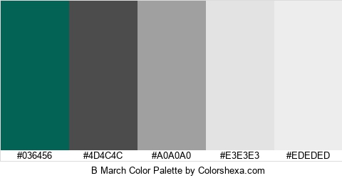 B March Color Colors Logo