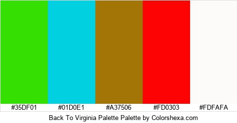 Back To Virginia Palette Colors Logo