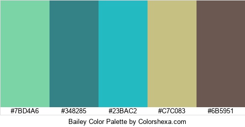 Bailey Color Colors Logo