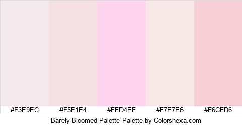 Barely Bloomed Palette Colors Logo