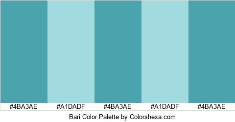 Bari Color Colors Logo