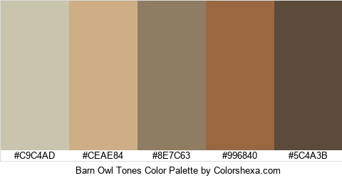 Barn Owl Tones Color Colors Logo