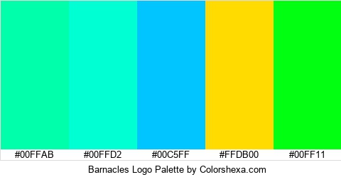 Barnacles Logo Colors Logo