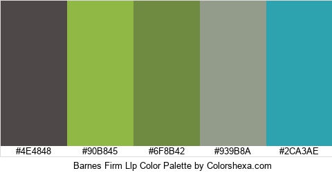 Barnes Firm Llp Color Colors Logo