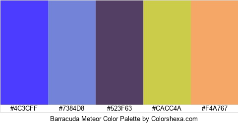 Barracuda Meteor Color Colors Logo