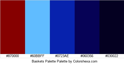 Baskets Palette Colors Logo
