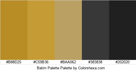 Batim Palette Colors Logo