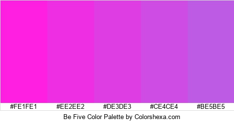 Be Five Color Colors Logo