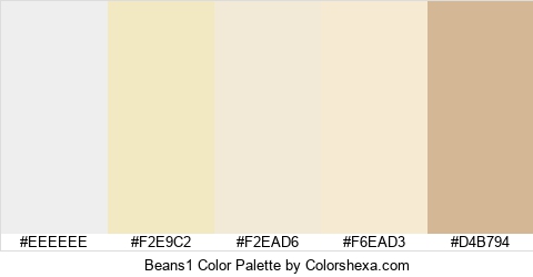 Beans1 Color Colors Logo