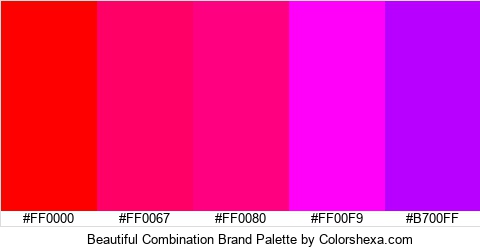 Beautiful Combination Brand Colors Logo