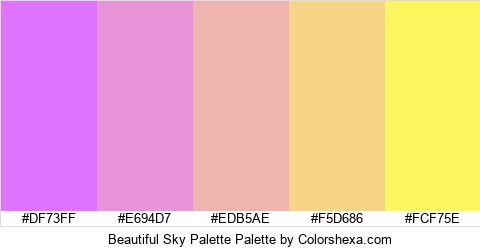 Beautiful Sky Palette Colors Logo