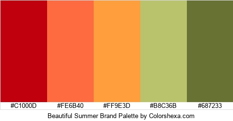 Beautiful Summer Brand Colors Logo