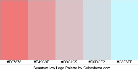 Beautywillow Logo Colors Logo