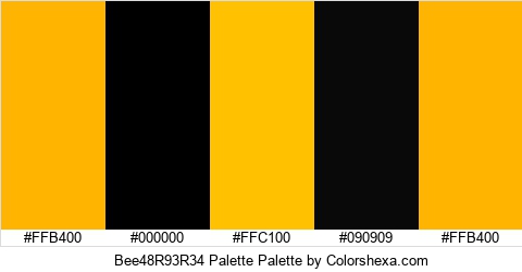 Bee48R93R34 Palette Colors Logo