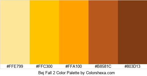 Bej Fall 2 Color Colors Logo