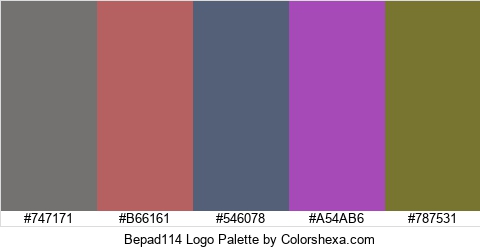 Bepad114 Logo Colors Logo