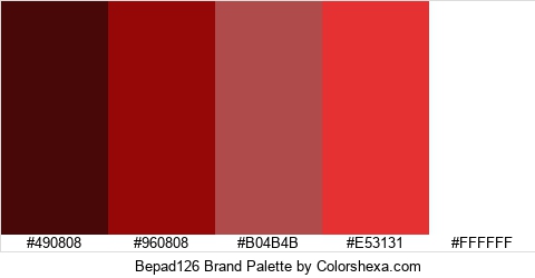 Bepad126 Brand Colors Logo