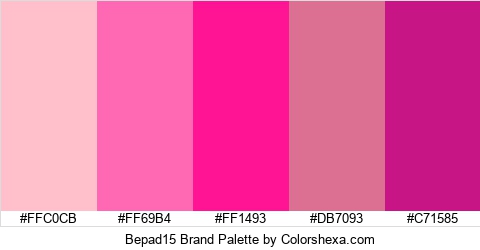 Bepad15 Brand Colors Logo