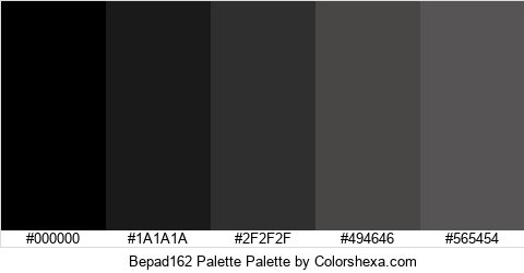 Bepad162 Palette Colors Logo