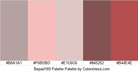 Bepad169 Palette Colors Logo