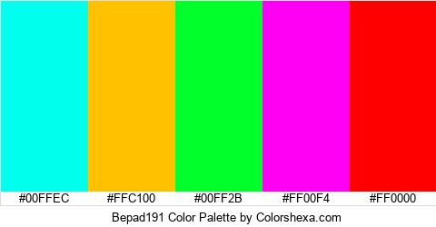 Bepad191 Color Colors Logo