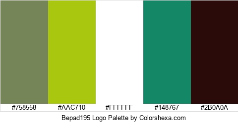 Bepad195 Logo Colors Logo