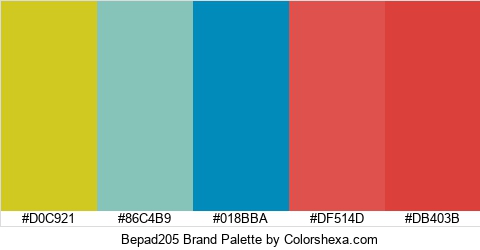 Bepad205 Brand Colors Logo