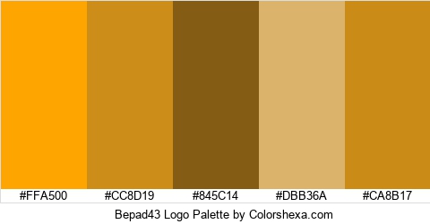 Bepad43 Logo Colors Logo