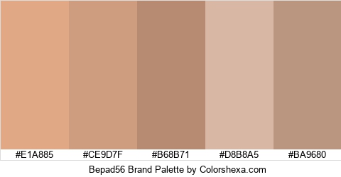 Bepad56 Brand Colors Logo