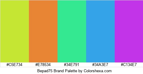 Bepad75 Brand Colors Logo