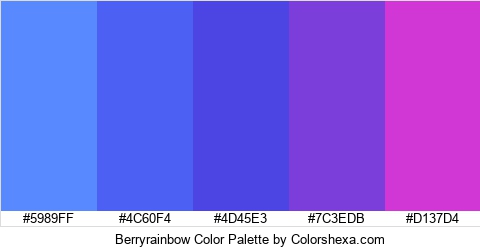 Berryrainbow Color Colors Logo