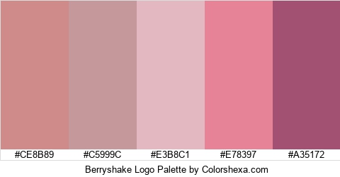 Berryshake Logo Colors Logo
