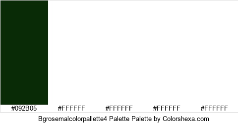 Bgrosemalcolorpallette4 Palette Colors Logo