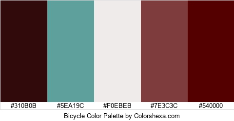 Bicycle Color Colors Logo