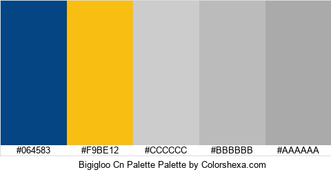 Bigigloo Cn Palette Colors Logo