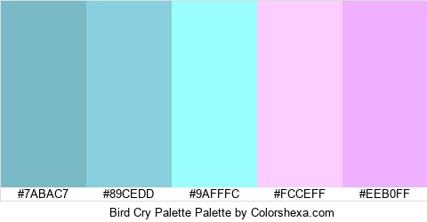 Bird Cry Palette Colors Logo